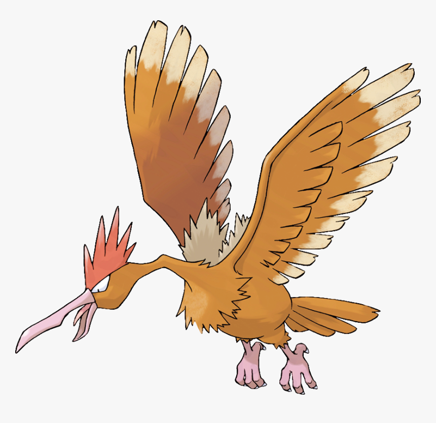 Nj Coding Practice - Fearow Pokemon, HD Png Download, Free Download