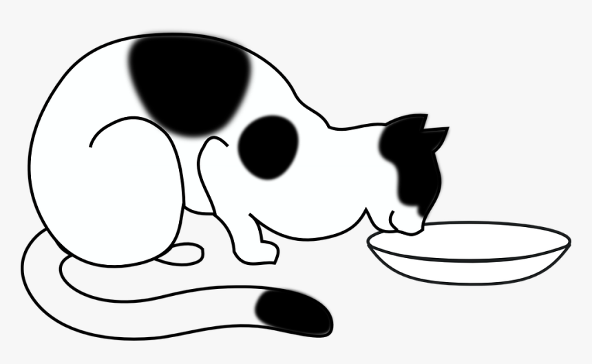 Gato, Taça, Black, Comer, Animal De Estimação - Draw A Cat Eating, HD Png Download, Free Download