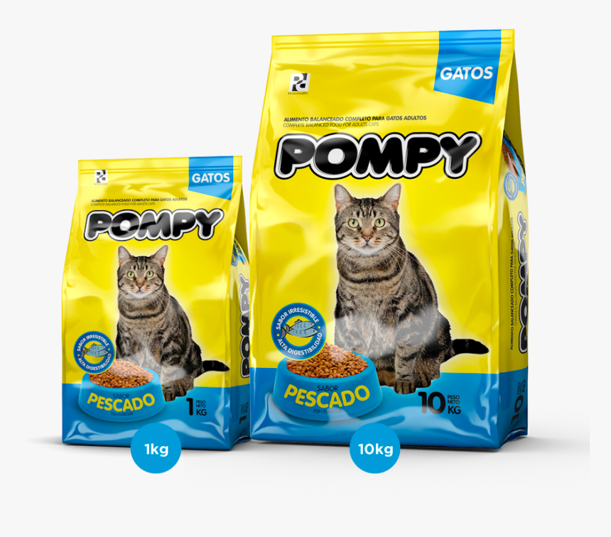 Pres Gatos Pompy - Pompy Gato, HD Png Download, Free Download