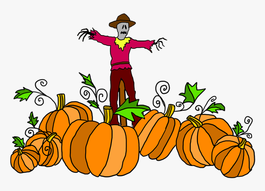 Pumpkin Patch, Pumpkin, Halloween, Harvest, Vegetable - Halloween Pumpkin Patch Clip Art, HD Png Download, Free Download