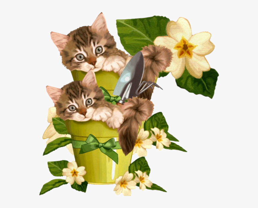 Gato Png , Png Download - Schön Dass Es Dich Gibt Bilder Whatsapp, Transparent Png, Free Download