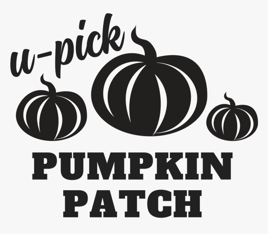 Pumpkin, HD Png Download, Free Download