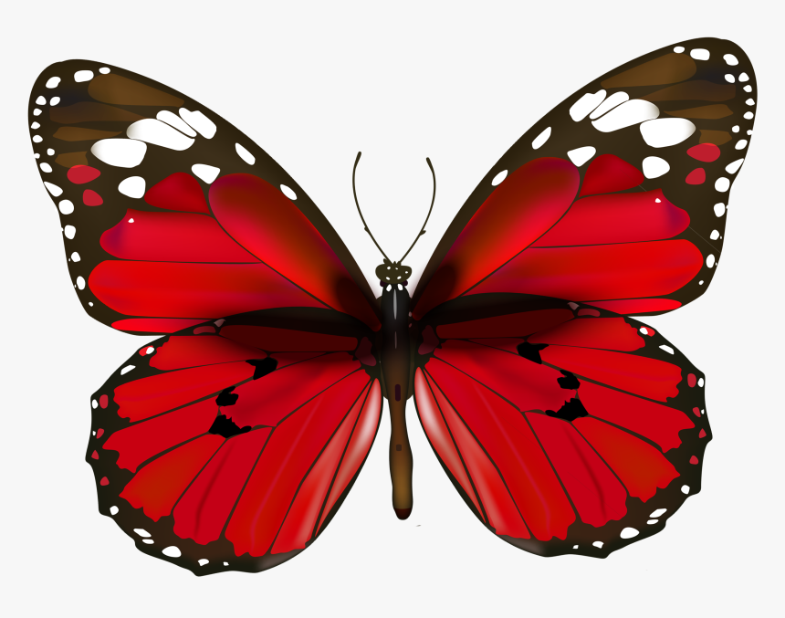 Butterflies Clipart Realistic Red - Happy New Year Butterfly, HD Png Download, Free Download