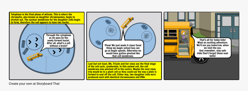 Storyboard, HD Png Download, Free Download