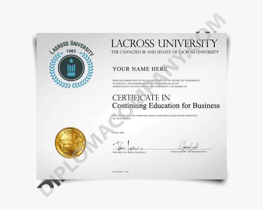 Fake College Certificate, Fake University Certificate, - Does A College Certificate Look Like, HD Png Download, Free Download