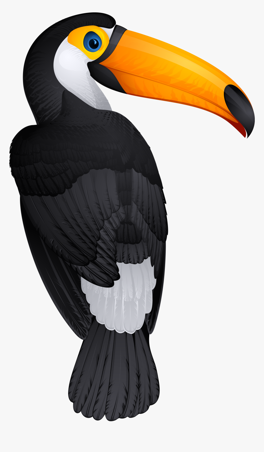 4 Png - Toucan Png, Transparent Png, Free Download