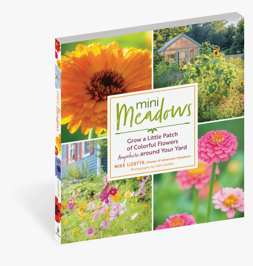 Cover - Mini Meadows: Grow A Little Patch Of Colorful Flowers, HD Png Download, Free Download