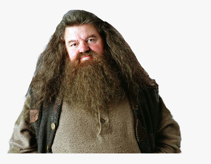 #hagrid #freetoedit - Robbie Coltrane, HD Png Download, Free Download