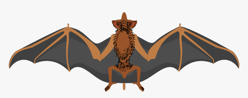 Bat Clipart, HD Png Download, Free Download