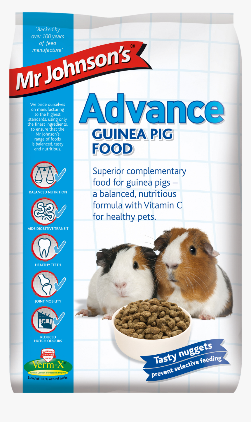 Guinea Pig Png, Transparent Png, Free Download