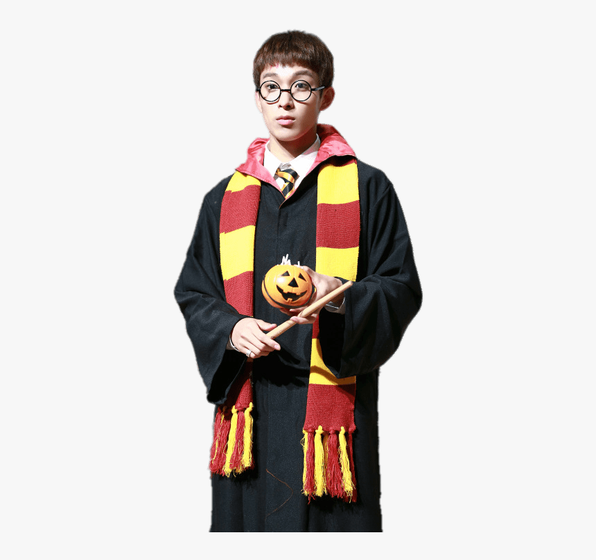 Seventeen Dk Harry Potter Style - Seventeen Harry Potter, HD Png Download, Free Download
