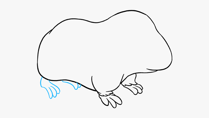 How To Draw Guinea Pig - Line Art, HD Png Download, Free Download