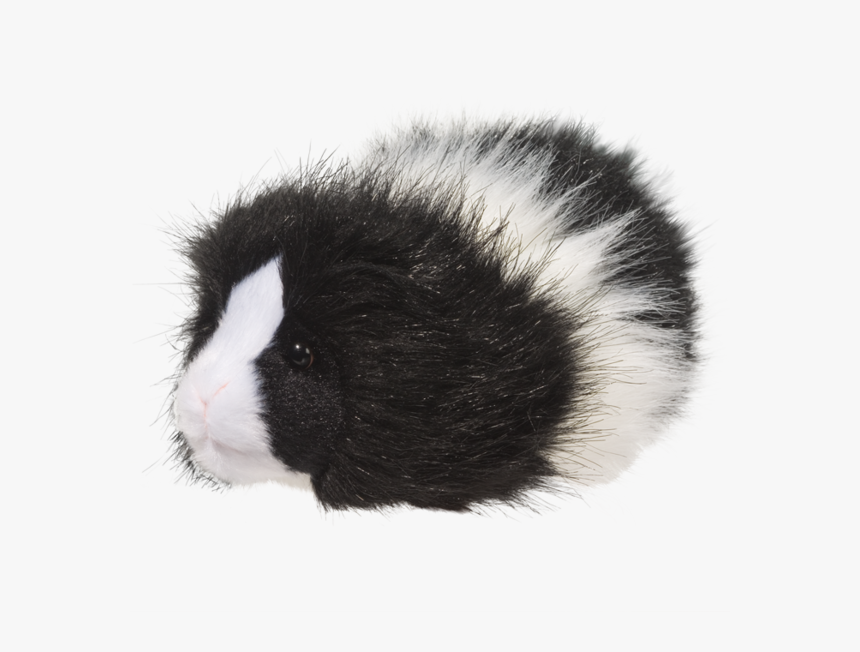 Guinea Pig Stuffed Animals, HD Png Download, Free Download