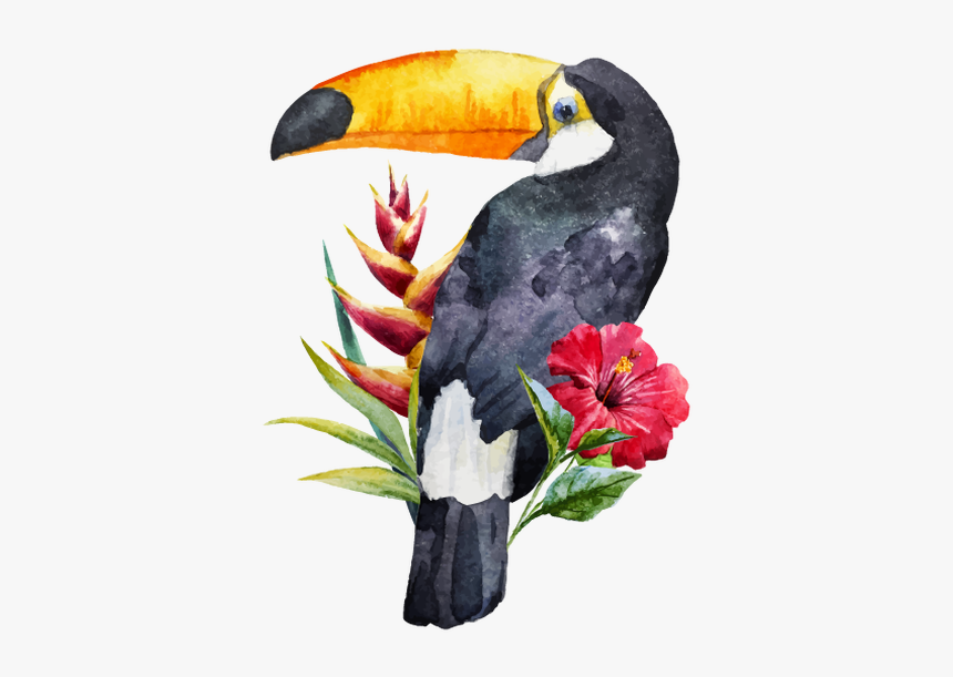 Watercolor Toucan Clipart, HD Png Download, Free Download