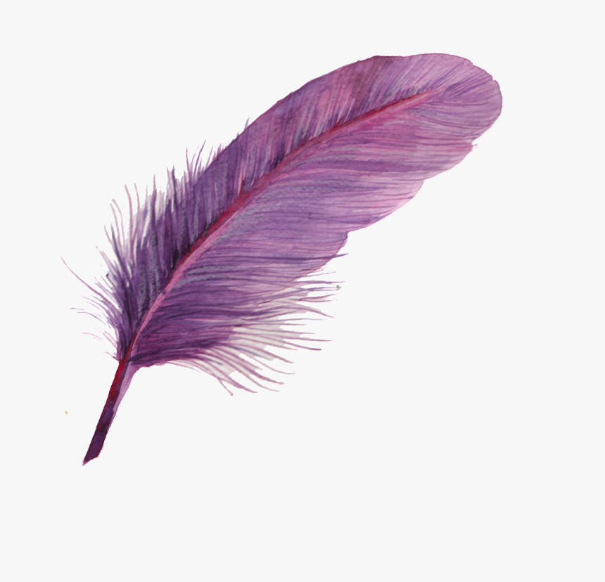 Can Purple Feather Transparent Decorative - Feather Icon Png, Png Download, Free Download