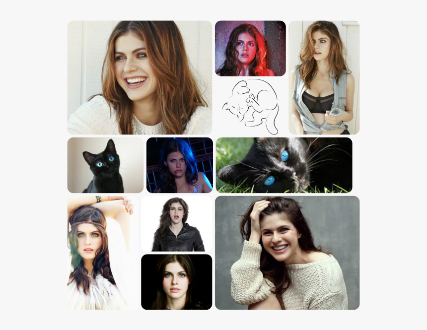 Kayleescollage - Alexandra Daddario, HD Png Download, Free Download