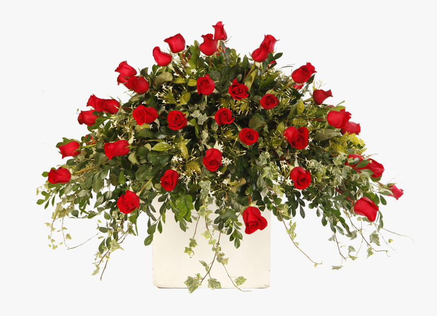 Lagrima Feretro Rojo - Garden Roses, HD Png Download, Free Download