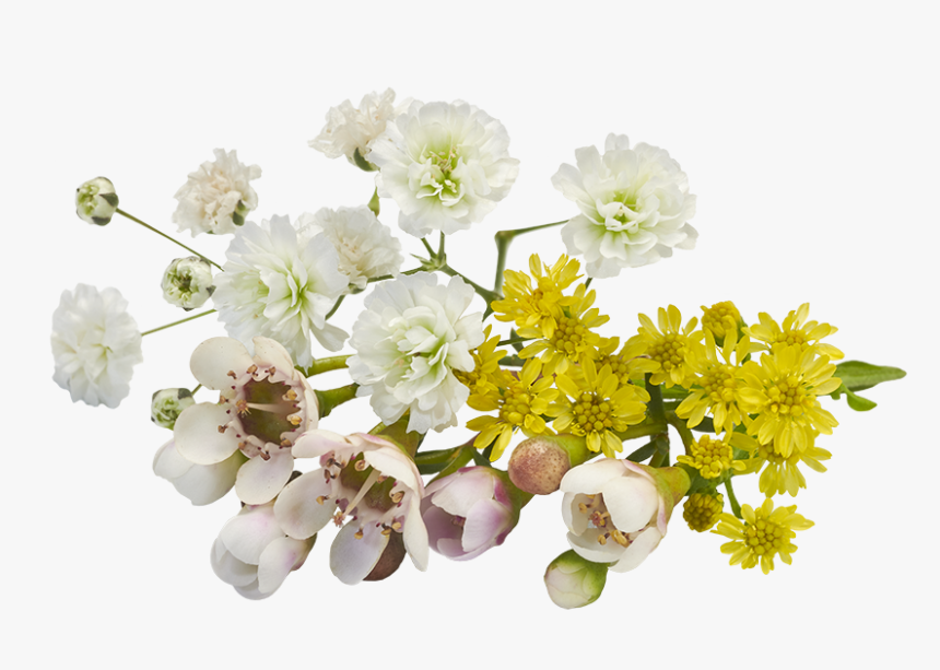 Flores - Bouquet, HD Png Download, Free Download