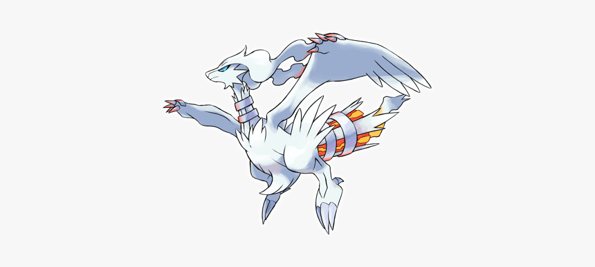 "vast White Pokémon" - Reshiram Pokemon, HD Png Download, Free Download