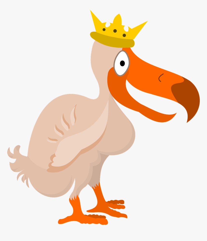 Stupid, Beak, Head, Dodo, Bird, Disappeared Bird - Dodo Bird With A Crown, HD Png Download, Free Download