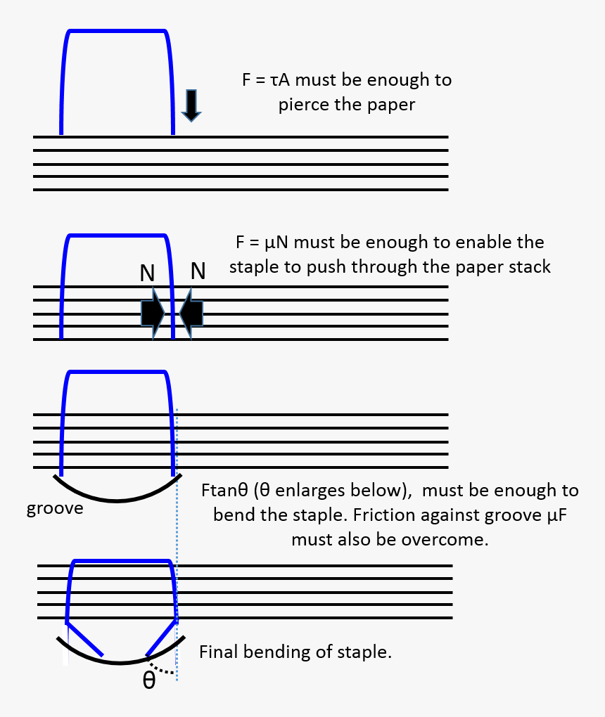 Seating Of Staple - Forces Of Stapler, HD Png Download, Free Download