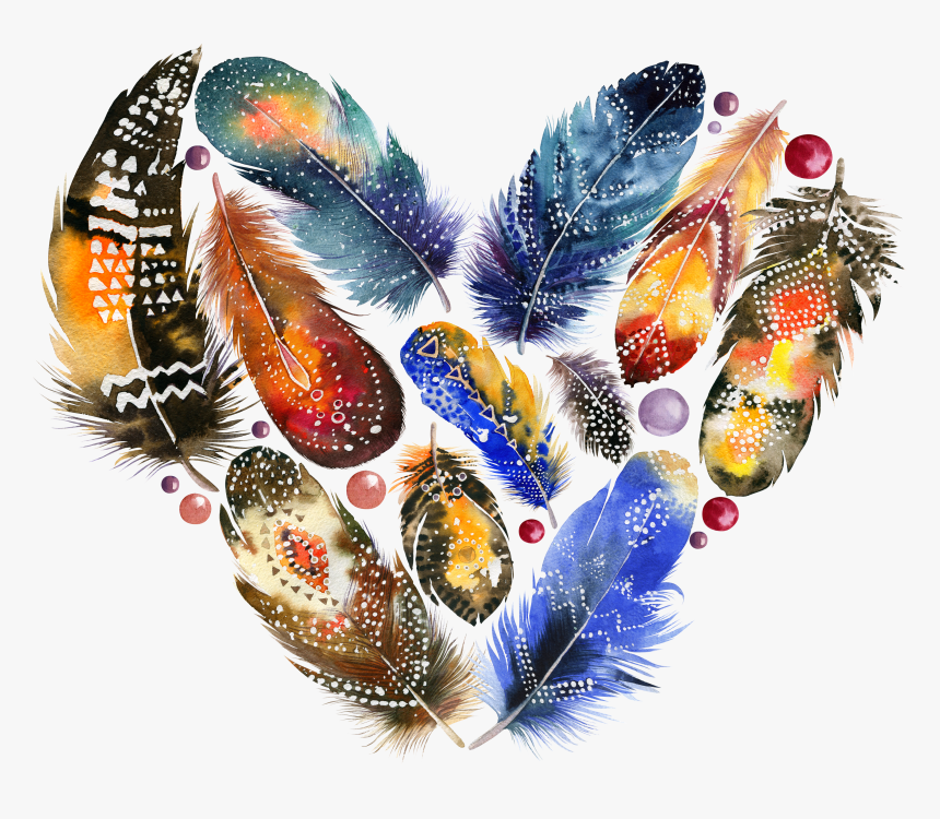 Bohochic, Stock Photography, Feather, Invertebrate, - Bird Watercolor Boho, HD Png Download, Free Download