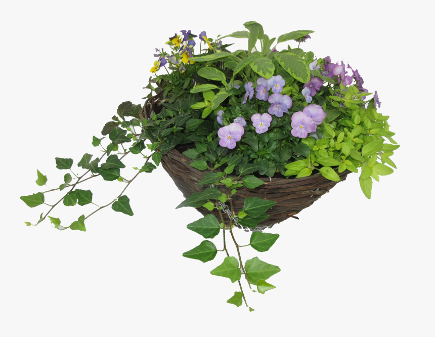 Hanging Basket - Bouquet, HD Png Download, Free Download