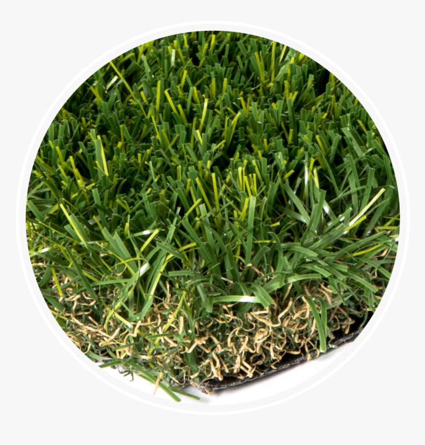 Everblade - Artificial Turf, HD Png Download, Free Download