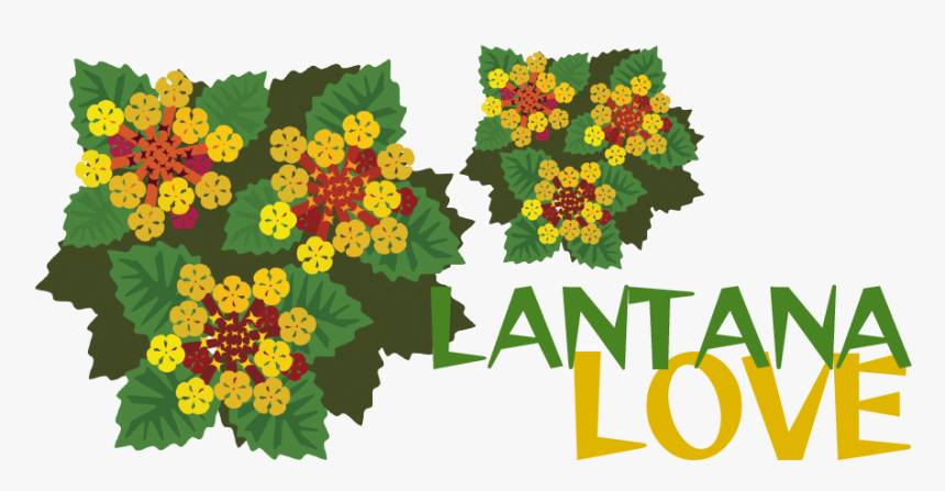 Lantana Clipart, HD Png Download, Free Download