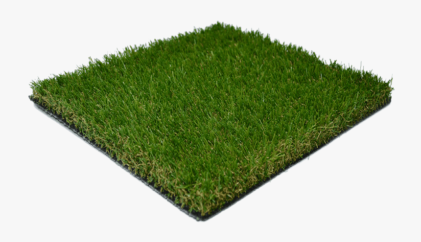 Lawn, HD Png Download, Free Download