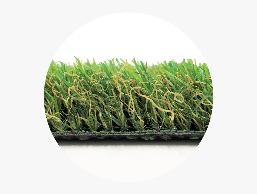 Sweet Grass, HD Png Download, Free Download