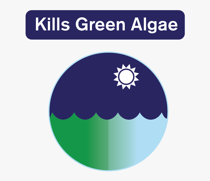 Algaecide Clarifier Is A Fast-acting Algae Treatment - Circle, HD Png Download, Free Download