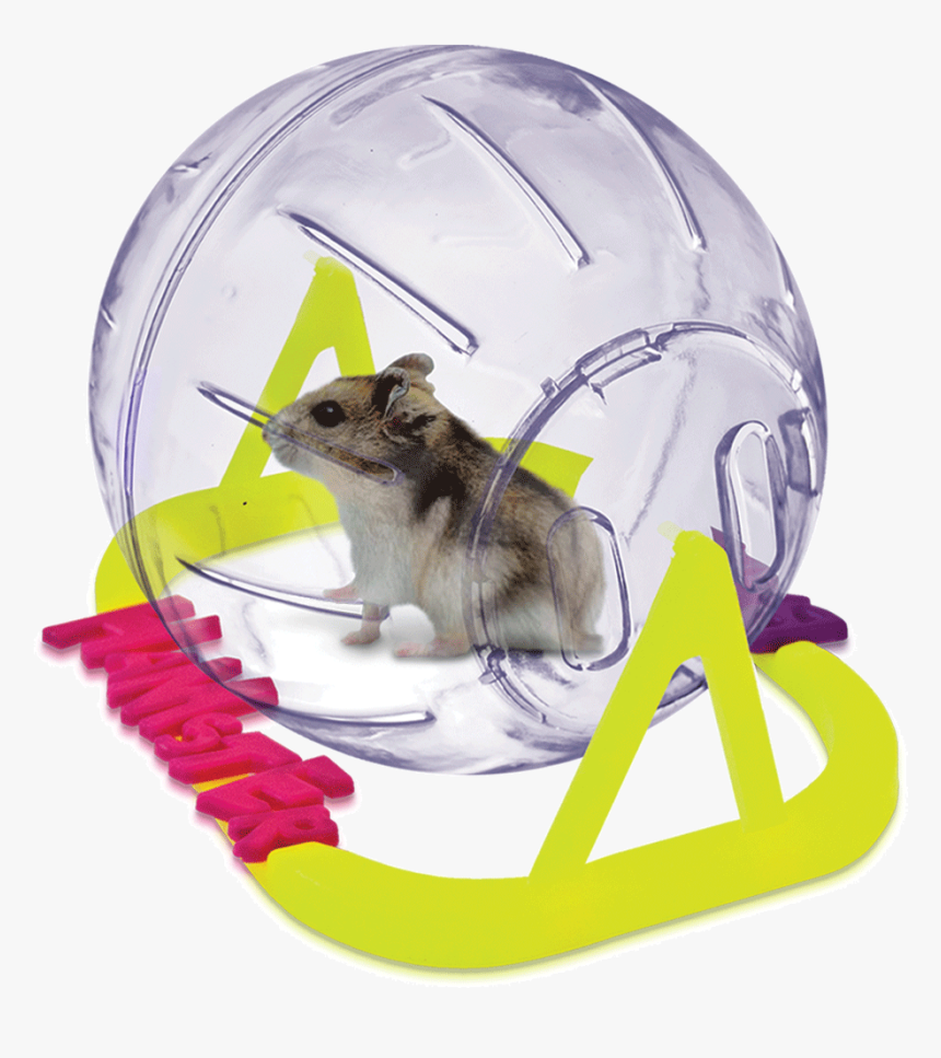 Esfera Hamster Ball Small 13cm De Diametro - Hamster Chines, HD Png Download, Free Download