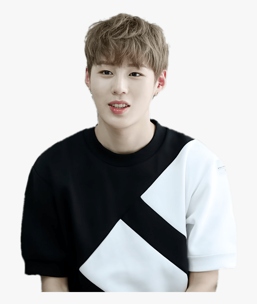 Wanna One Ha Sungwoon - Sungwoon Wanna One 2017, HD Png Download, Free Download