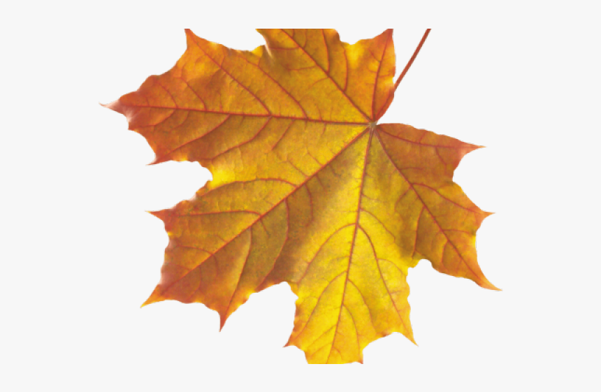 Thanksgiving trivia printable free