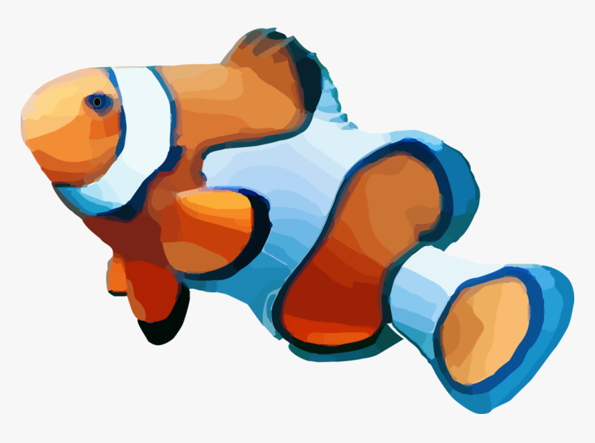 Anemone Fish,fish,animal Figure - Fish No Background, HD Png Download, Free Download