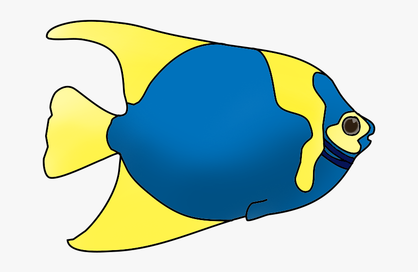 Fish Blue Yellow Clownfish Clipart Transparent Png - Colorful Fish Clipart, Png Download, Free Download