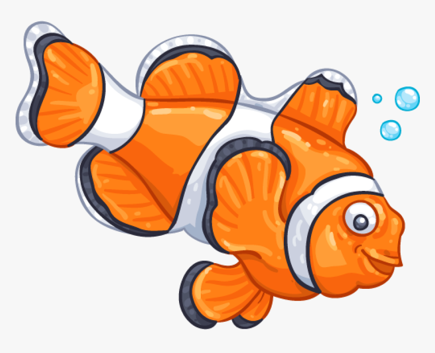 Clownfish, HD Png Download, Free Download