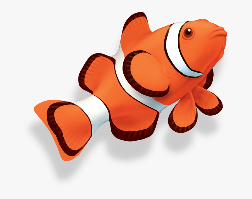 Transparent Background Clown Fish Png, Png Download, Free Download