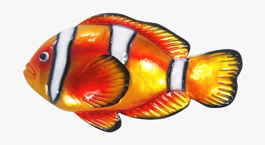 Coral Reef Fish, HD Png Download, Free Download