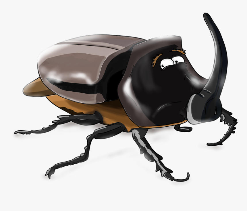 Beetle, Rhino, Insect, Cartoon - Cartoon Rhinoceros Beetle, HD Png Download, Free Download