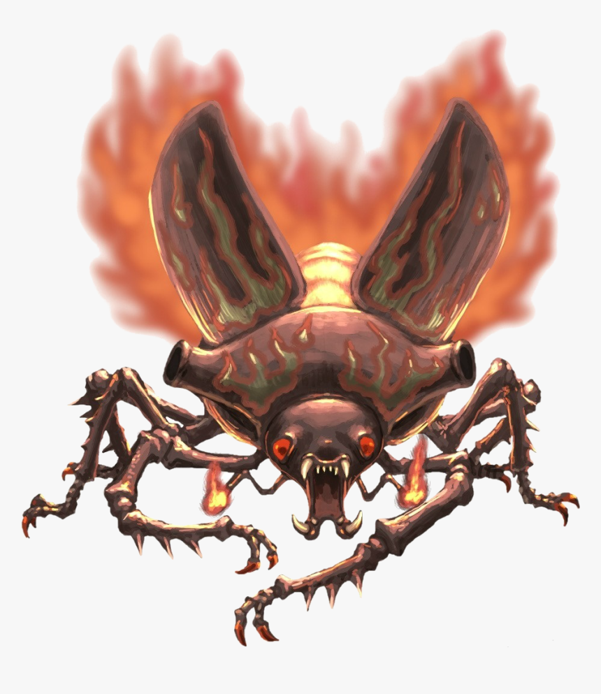 Beetle Png Download Image - Giant Fire Beetle Art, Transparent Png, Free Download