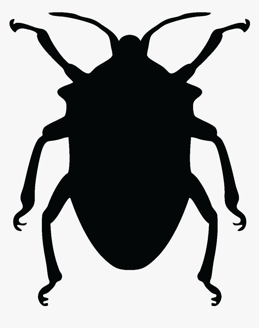 Beetle Png Download - Water Beetle Silhouette Png, Transparent Png, Free Download