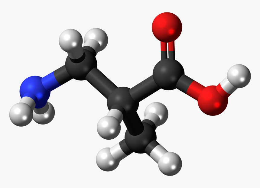3 Aminoisobutyric Ac - Succinic Acid 3d Structure, HD Png Download, Free Download