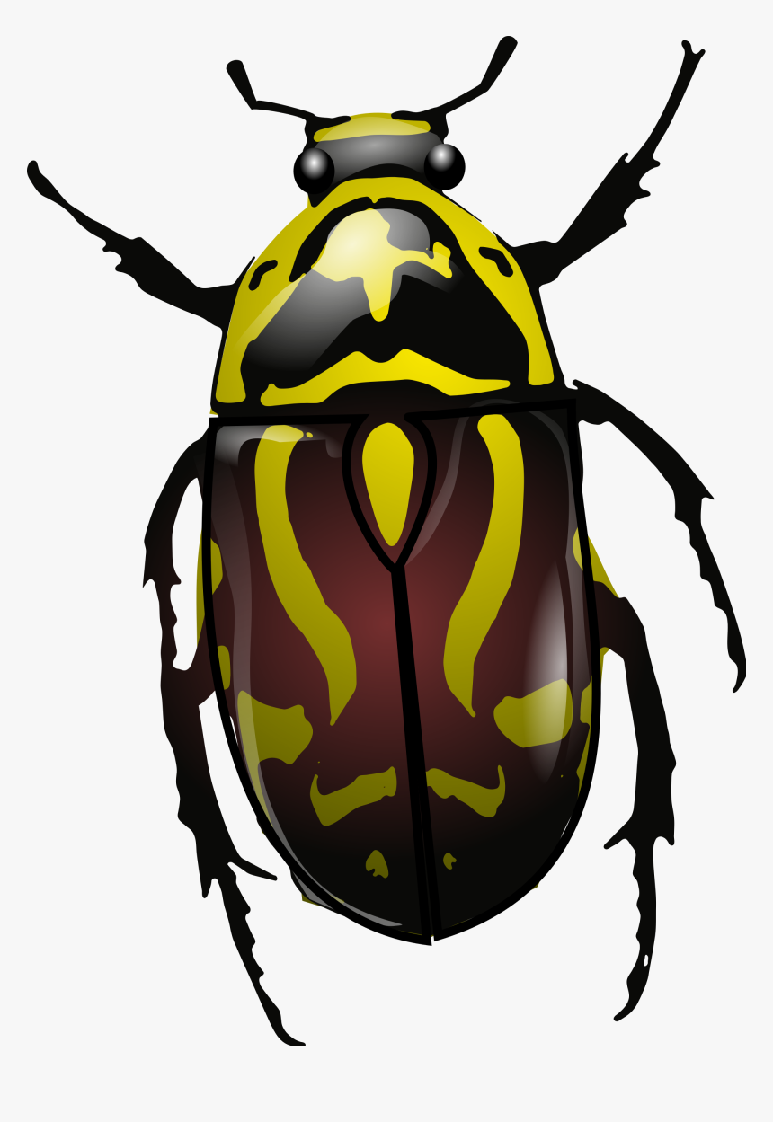 Beetle Clip Art, HD Png Download, Free Download