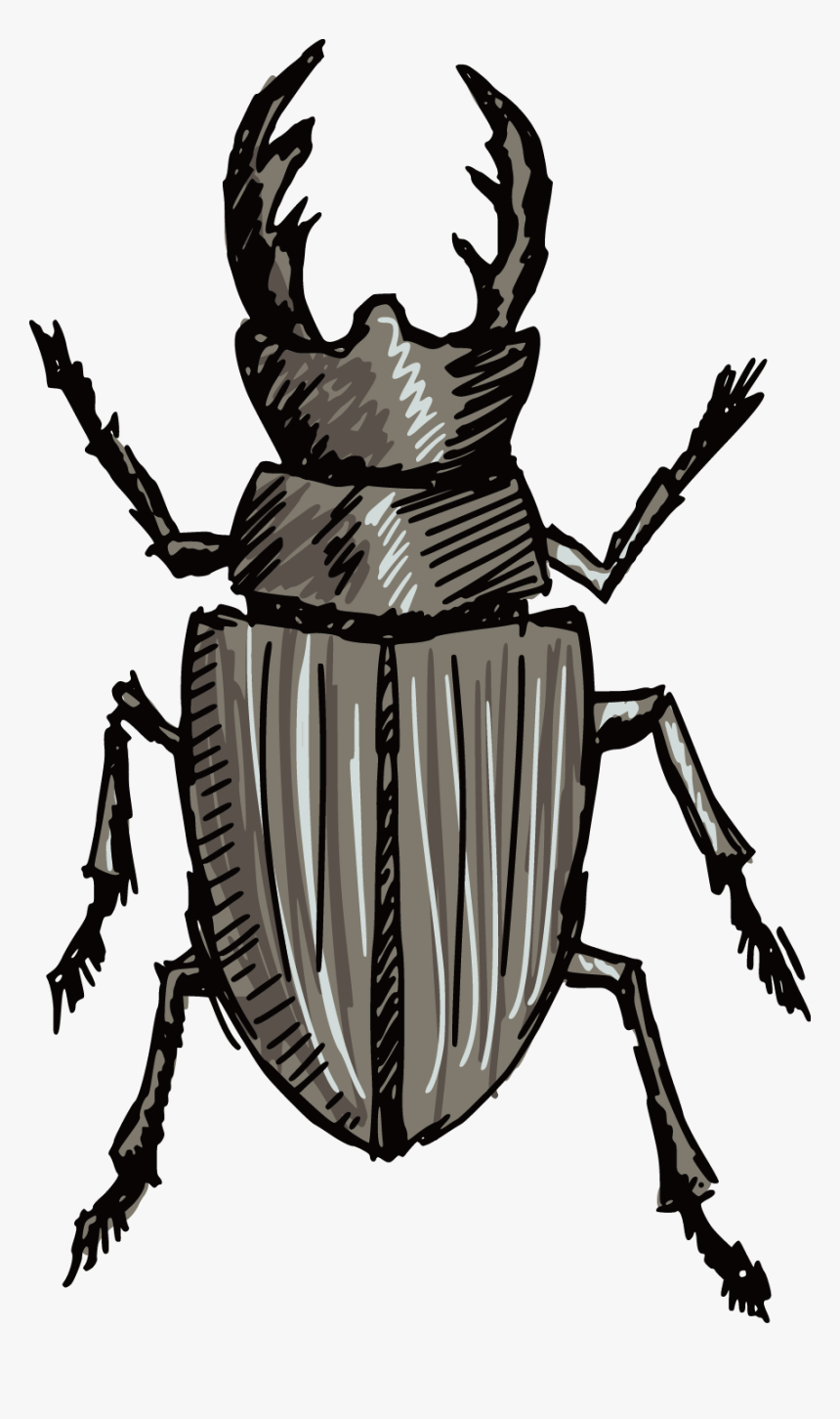 Stag Clip Art Beetles - Stag Beetle Silhouette, HD Png Download, Free Download