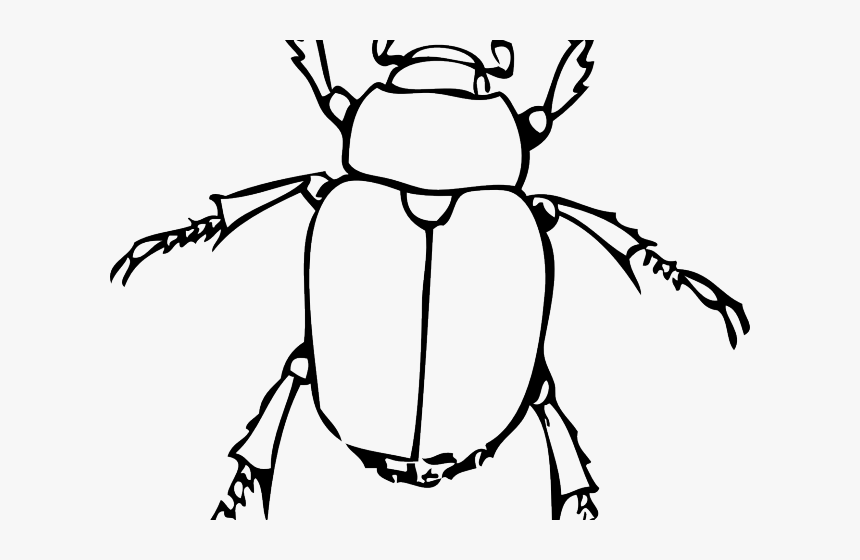 Insect Clipart Black And White - Dung Beetle Clipart, HD Png Download, Free Download