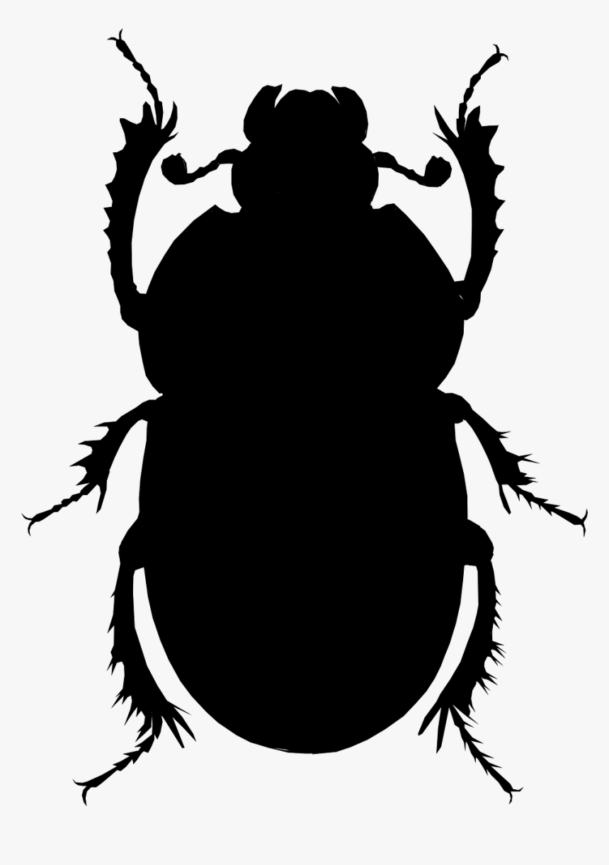 Beetle Clipart, HD Png Download, Free Download