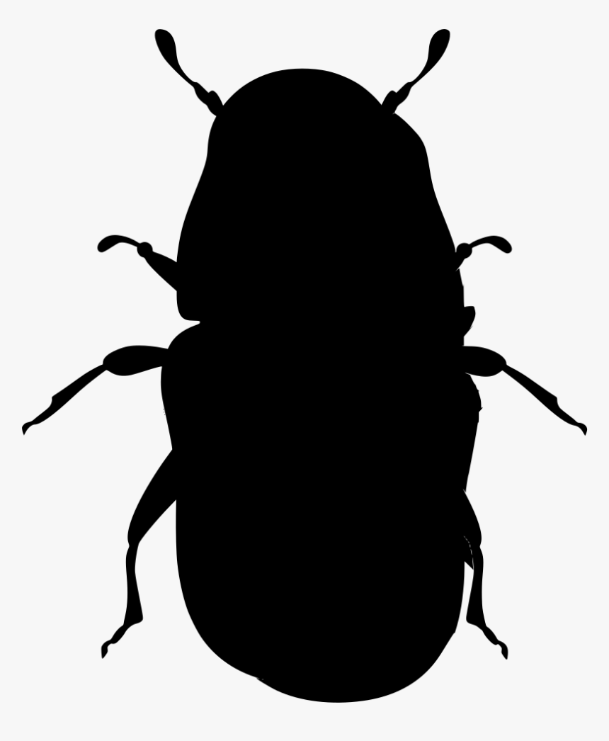 Dung Beetle, HD Png Download, Free Download