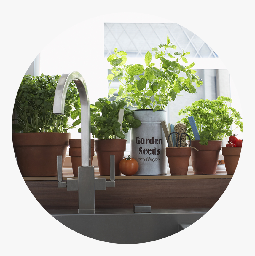Toolboxgb Indoorgardening - Making A Indoor Classroom Garden, HD Png Download, Free Download
